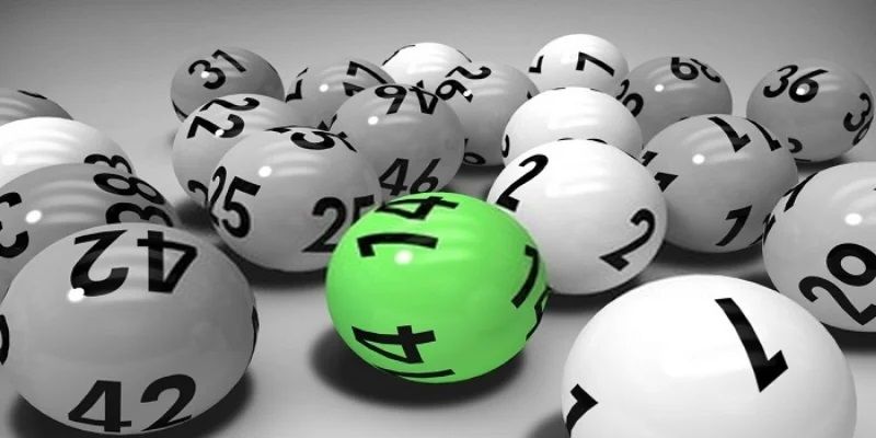 Đề 4 Càng Shbet - Cách Đánh Hiệu Quả Và Bí Kíp Dự Đoán Chính Xác 4 Mẹo chọn con số chính xác từ cao thủ